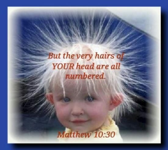 A child with a hair brush on his head.
