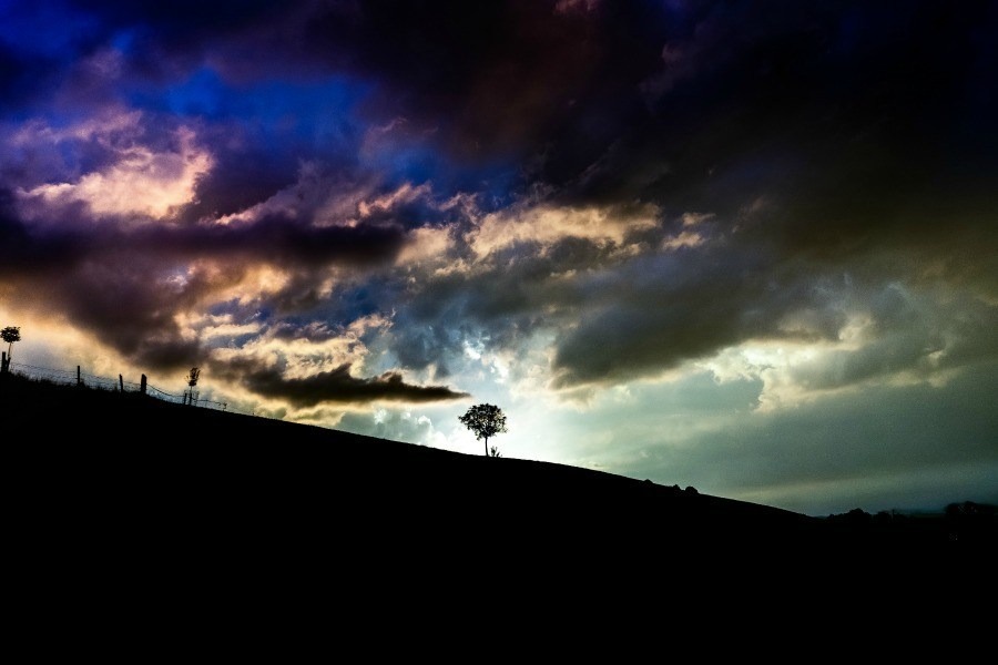 A tree on the side of a hill under a cloudy sky.