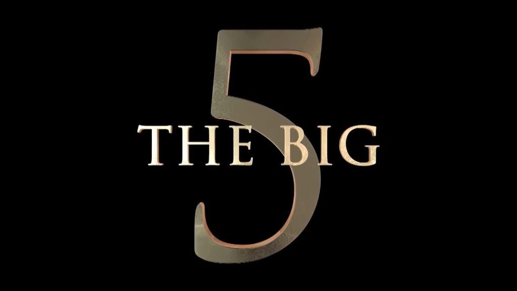 A picture of the big five logo.