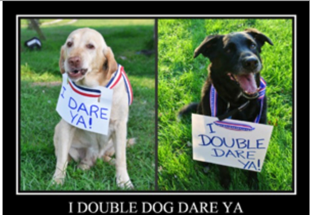 Two dogs with signs on their necks and one is holding a sign that says " i double dog dare ya ".
